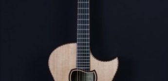 Feature Top 10 Hersteller Fur Deutsche Gitarren Amazona De