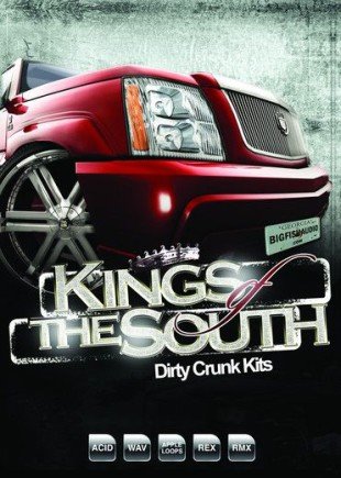 KINGS OF THE SOUTH