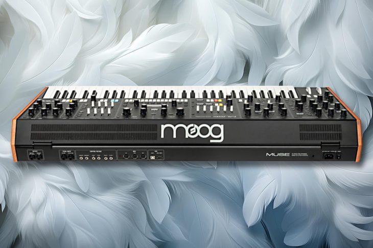 Das Anschlussfeld des polyphonen Moog Muse Synthesizers