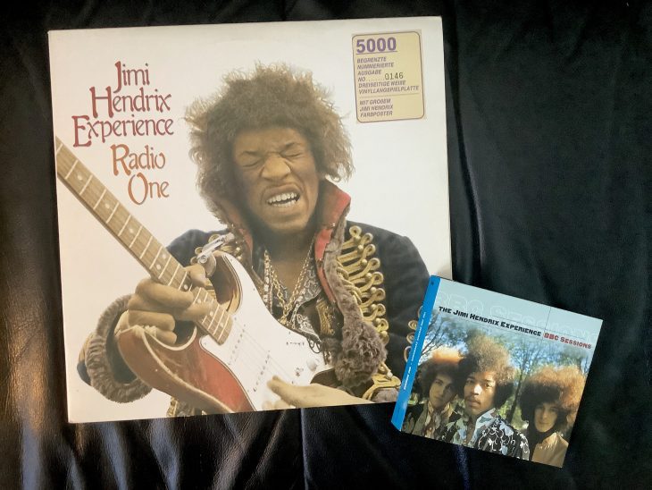 The Jimi Hendrix Book (8)