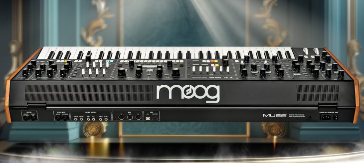 Die Anschlüsse des Moog Muse