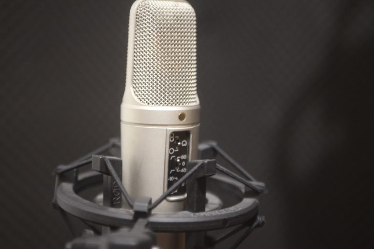 Vocalws mic